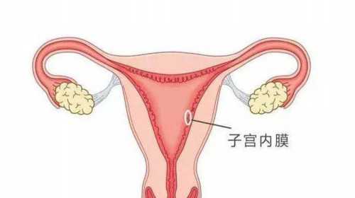 温州供卵联系方式 温州市人民医院试管成功经验分享： ‘看孕囊看男女’
