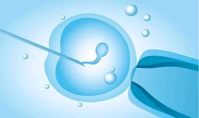温州供卵试管生成功率 2023温州供卵医院费用标准 ‘阴超孕囊数值看男女准吗准