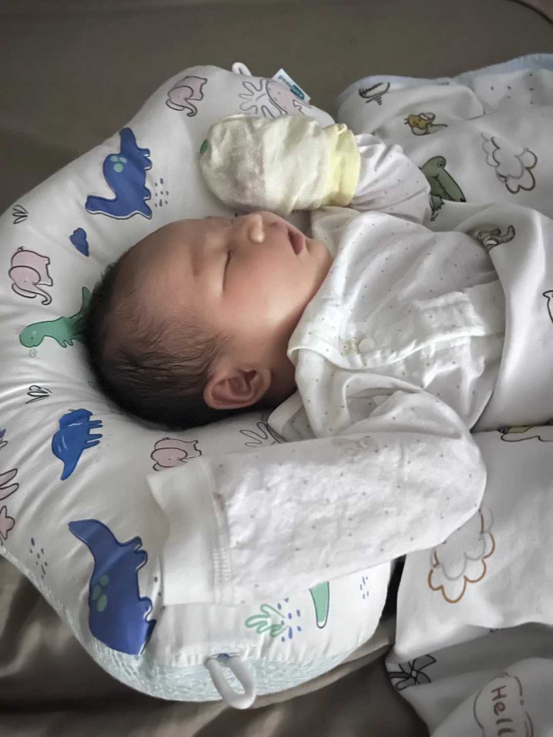 六天的4aa囊胚相当于是一级胚胎还是二级胚胎？