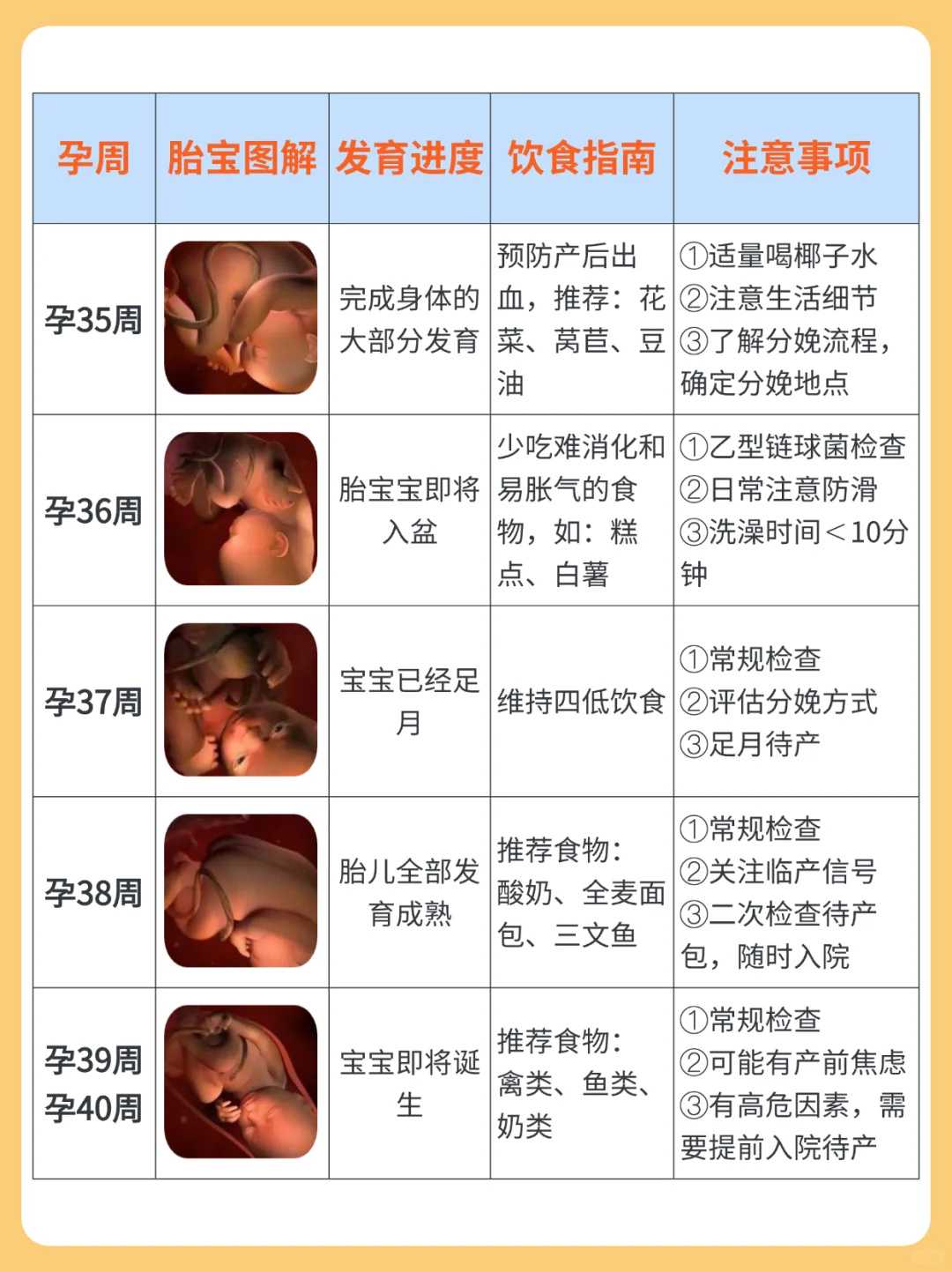 网友结婚三年终好孕 备孕经验和经历分享