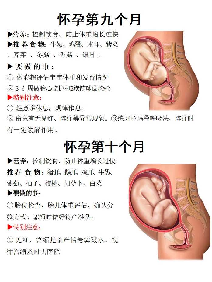 代怀价格-广州市做试管婴儿禁忌症（试管婴儿的主要适应证是）