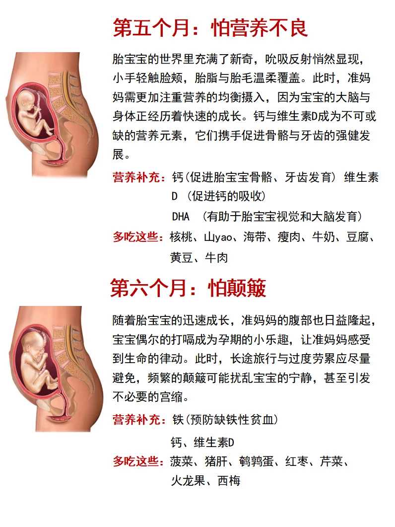 2024年深圳供卵试管生子费用多少？准备10万元够吗？