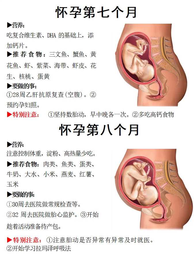 深圳正规试管助孕机构？附深圳助孕机构排名？